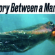 Illustration for article titled Today in angry people on Twitter: iMy Octopus Teacher/i and tentacle porn